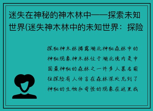 迷失在神秘的神木林中——探索未知世界(迷失神木林中的未知世界：探险之旅)